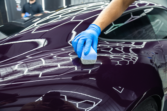 THE ORIGIN OF COATINGS
